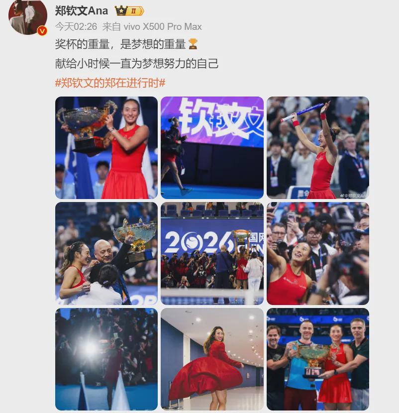 王楚钦发言后的最后一个眼神，我突然理解，樊振东为什么不回来了